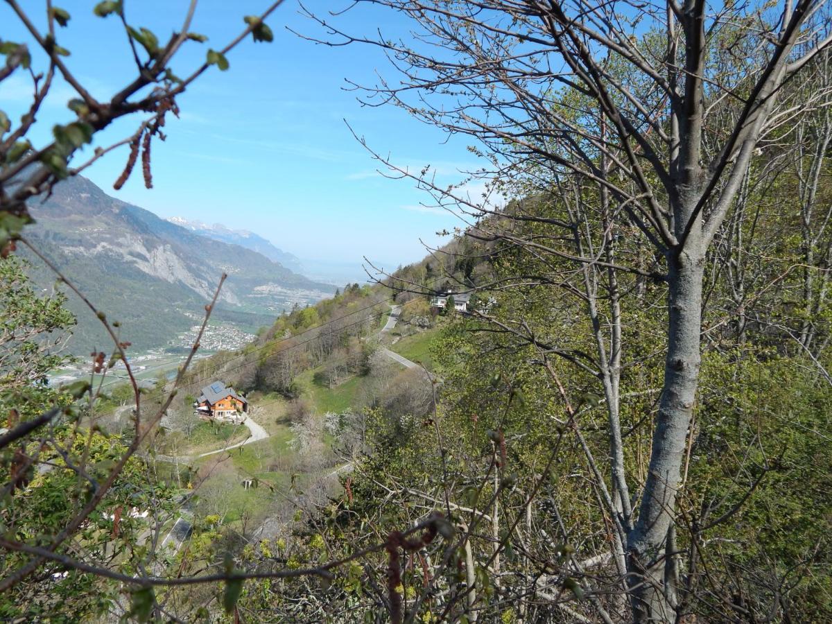 L Ame Et Son Du Coeur Villa Dorenaz ภายนอก รูปภาพ
