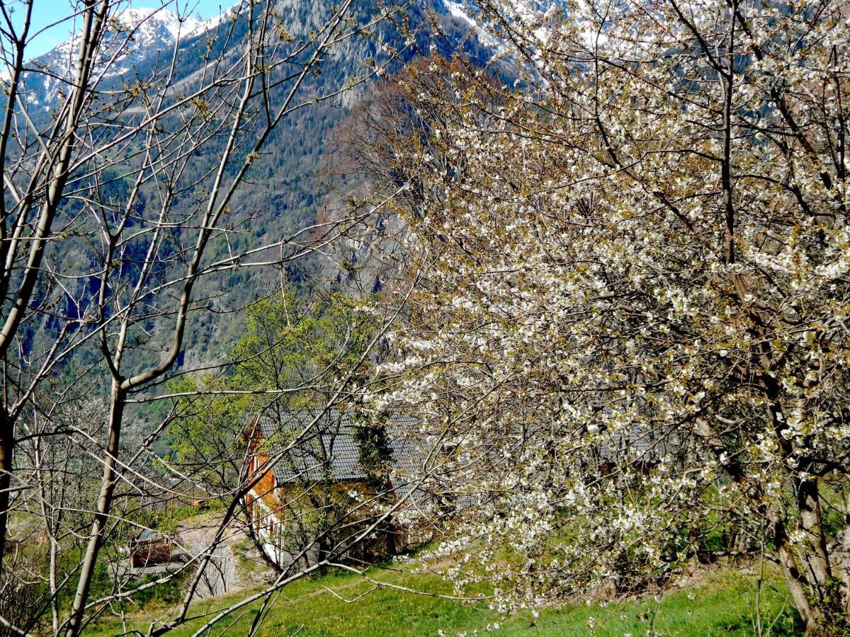 L Ame Et Son Du Coeur Villa Dorenaz ภายนอก รูปภาพ