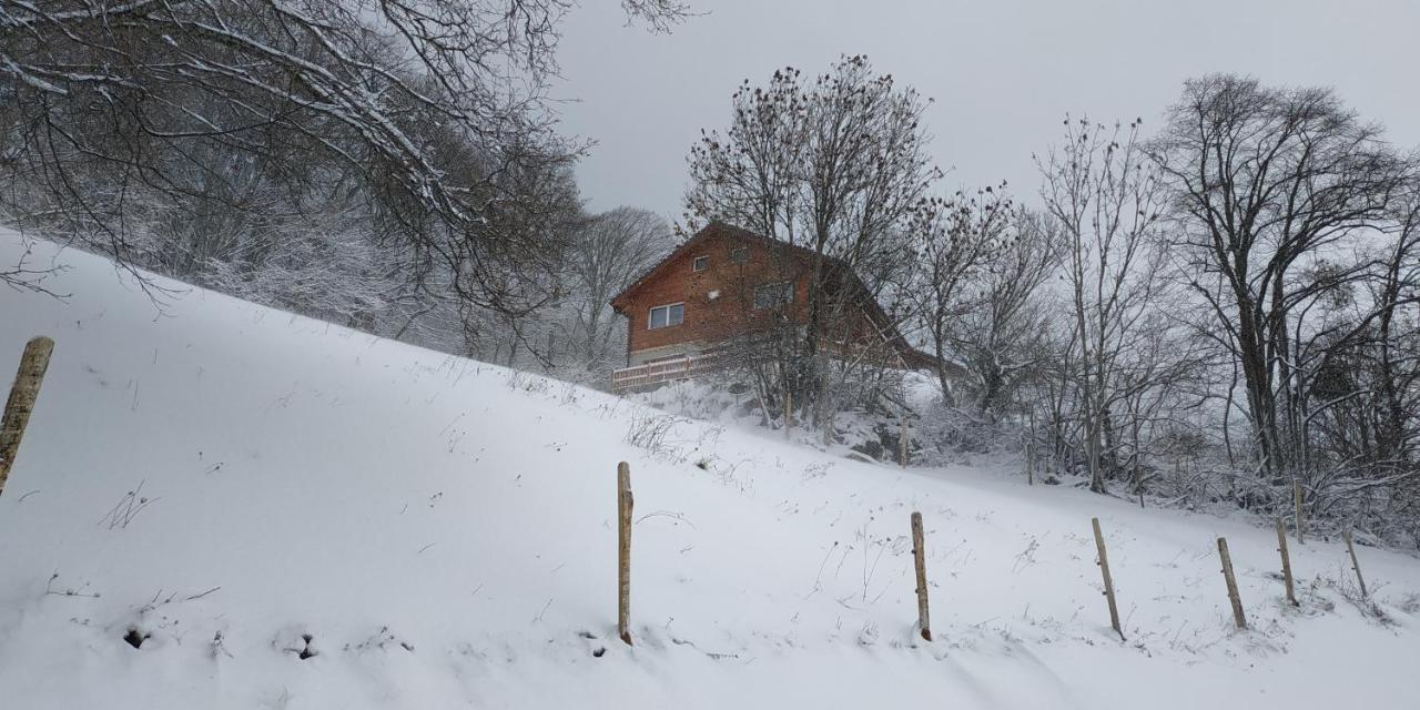 L Ame Et Son Du Coeur Villa Dorenaz ภายนอก รูปภาพ