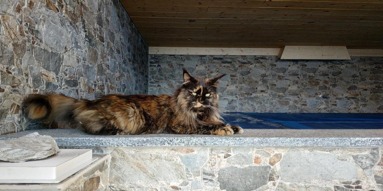 L Ame Et Son Du Coeur Villa Dorenaz ภายนอก รูปภาพ